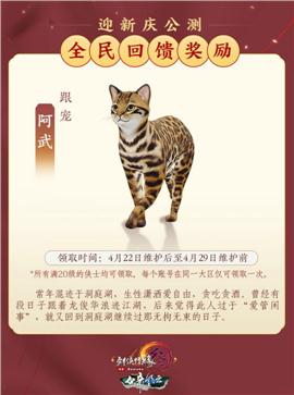 辽阳天龙八部私服